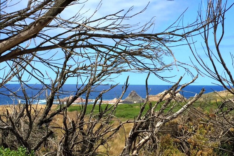Mastering Photography: Workshops on Phillip Island